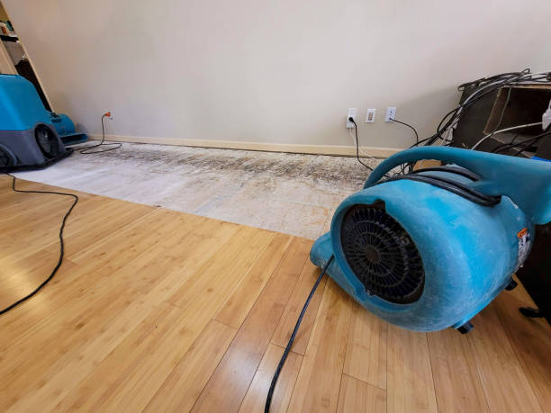 Professional Water Damage Repair technician working in Overton, NV